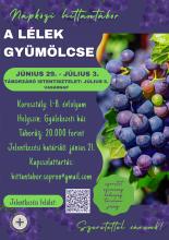 Napközi gyerektáborunk